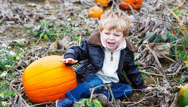 pumpkin patch