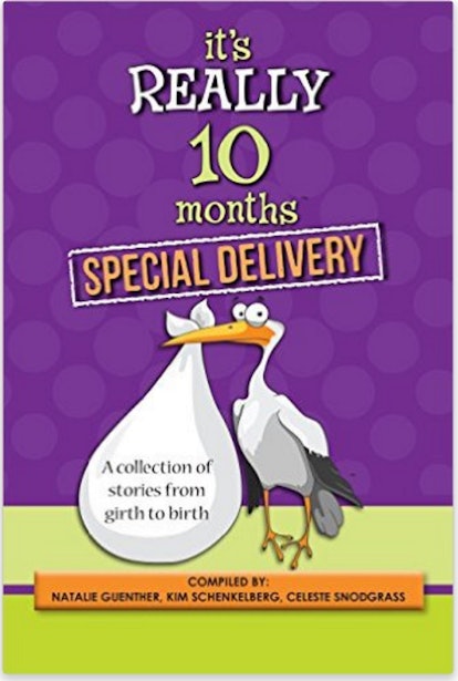 Its Really 10 Months Special Delivery Book
