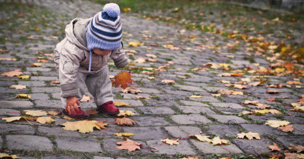 Slowly Things Example 15 Slow Things That Move Faster Than My Toddler