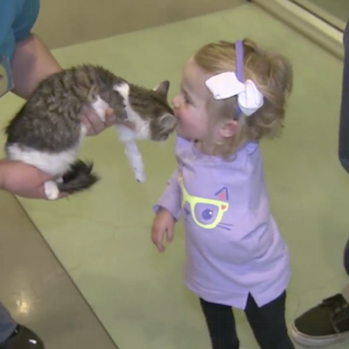 2-Year-Old Who Lost Her Arm Finds New Best Friend In Adopted 3-Legged Kitten