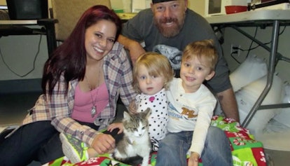 tipton-family-adopts-three-legged-cat