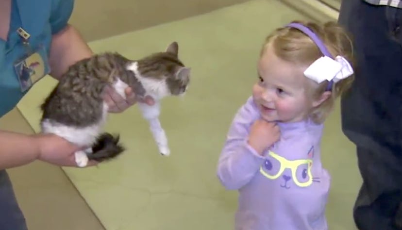 little-girl-adopts-three-legged-cat