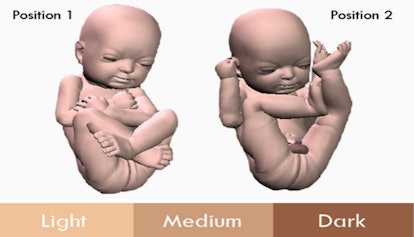 3d-printed-fetus