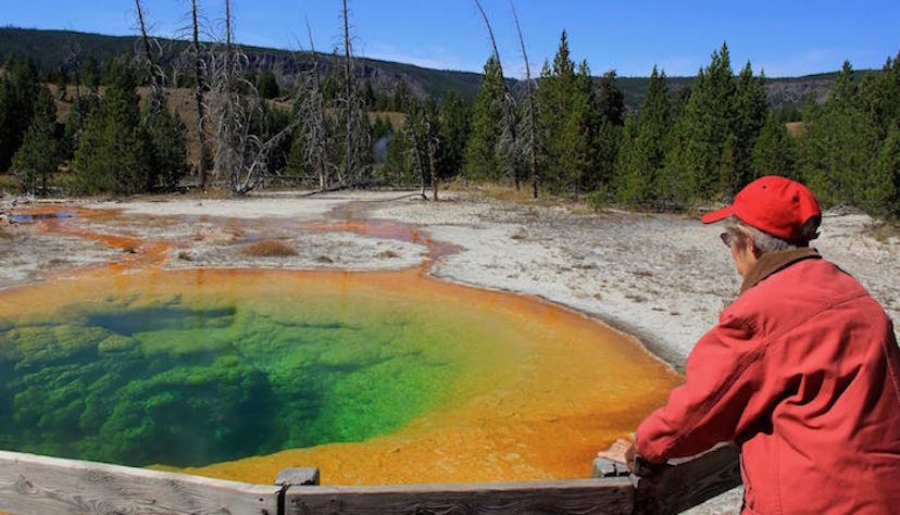 driving-miss-norma-yellowstone