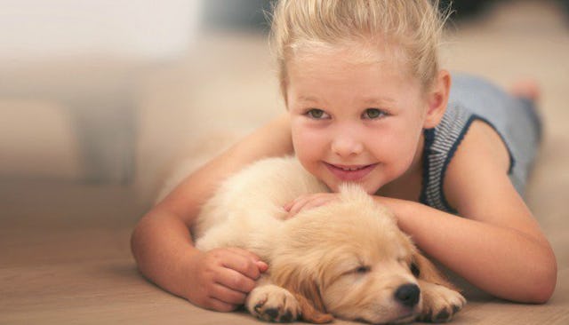 Blonde girl playing with her golden retriever puppy dog