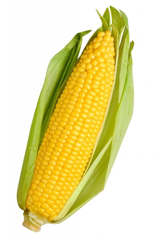 corn cob