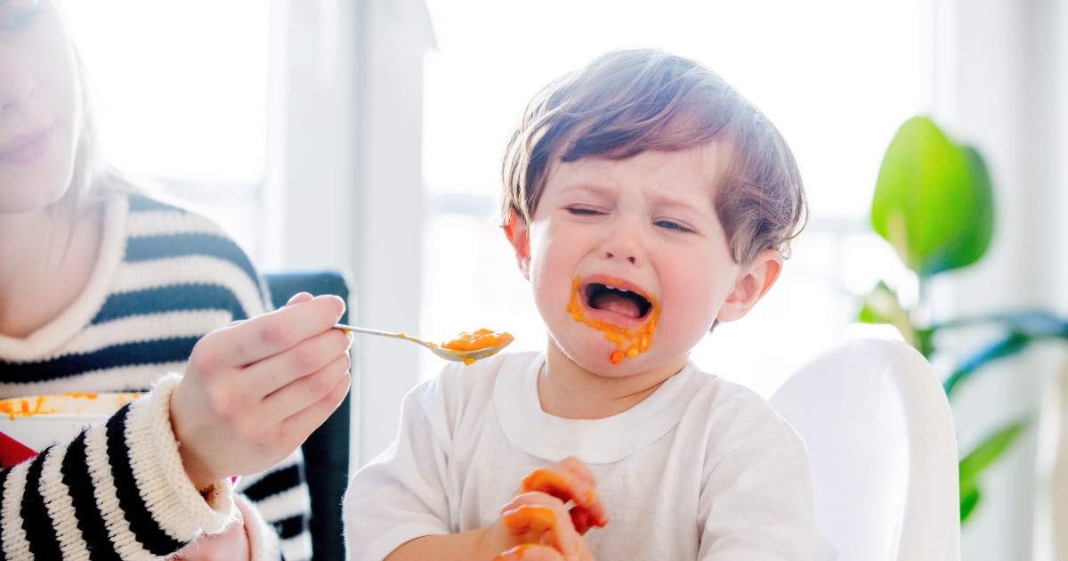 What To Do When Your Toddler Won’t Eat