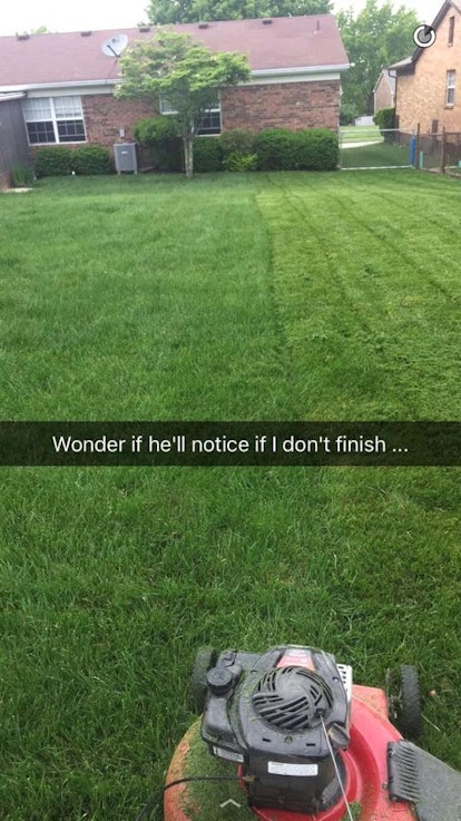 Started from the bottom… #grass #lawncare #lawn #funny #drake #howto