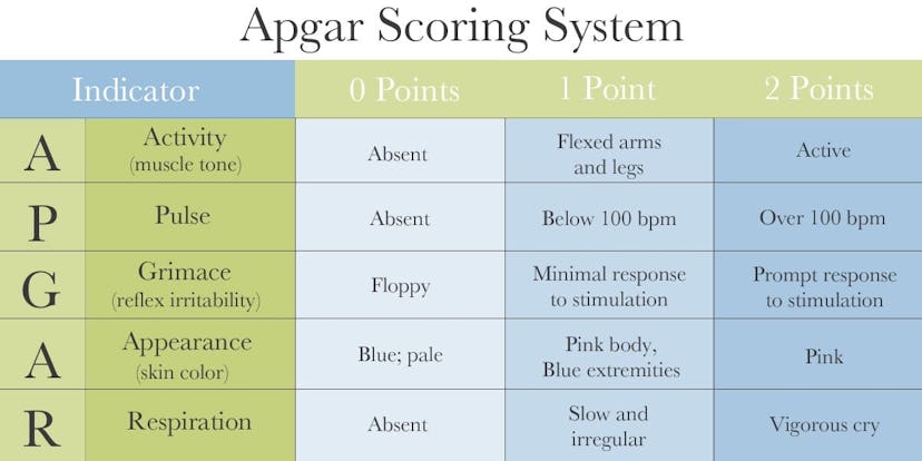 Reiter and Walsh Apgar Scoring Chart