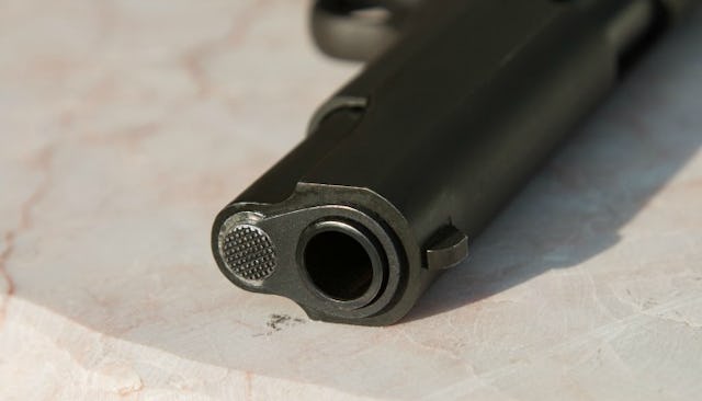 gun control
