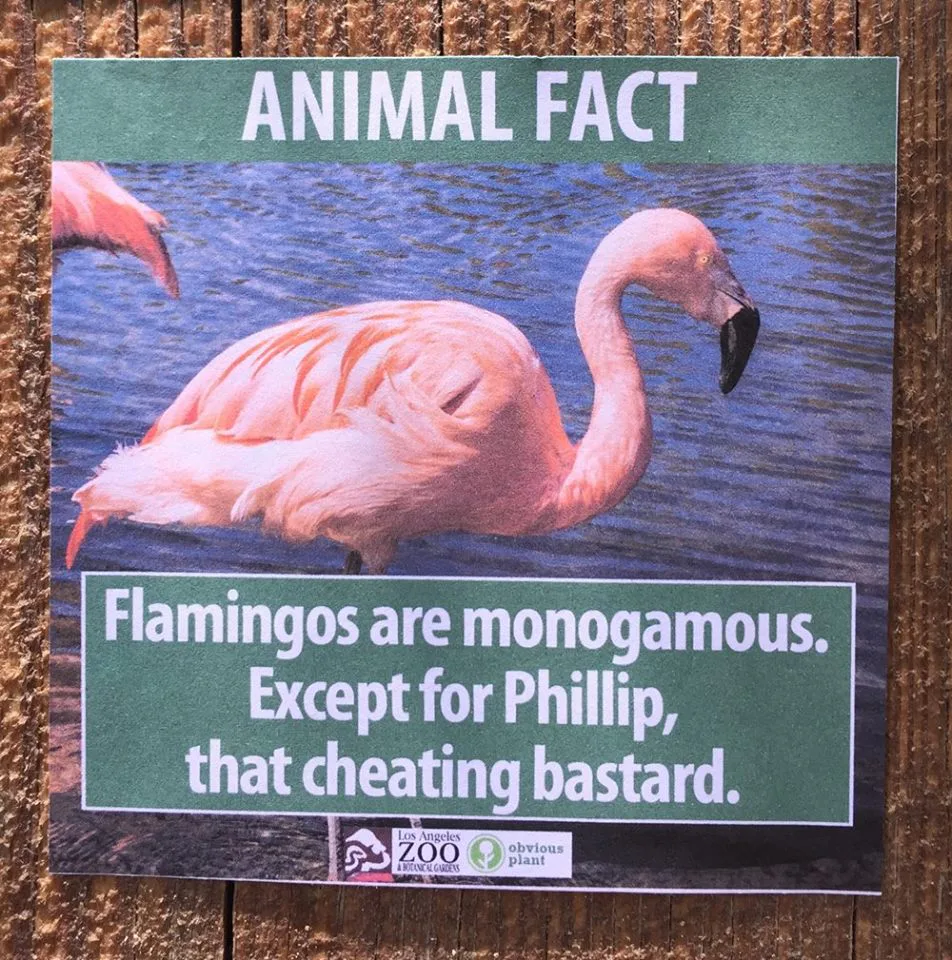 Man Leaves Fake Animal Facts All Over Los Angeles Zoo