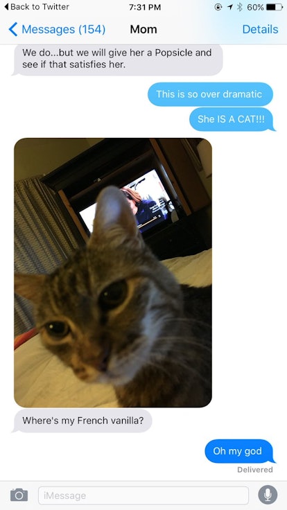 Mom-Daughter Cat Conversation