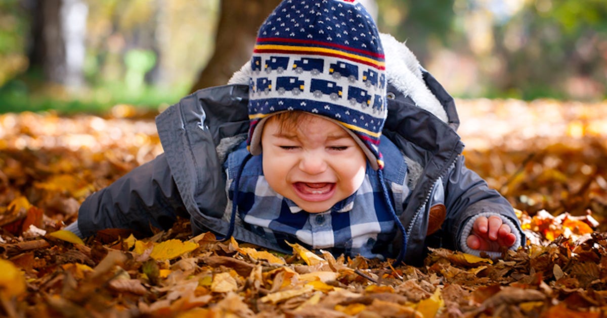 A Parent’s Guide To The 5 Stages Of Fall