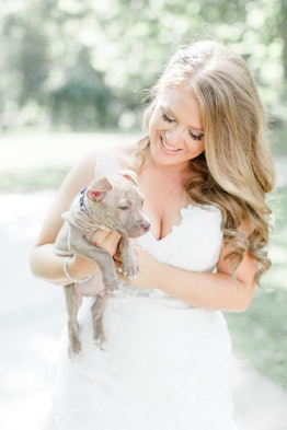 Bridal Party Held Rescue Pups