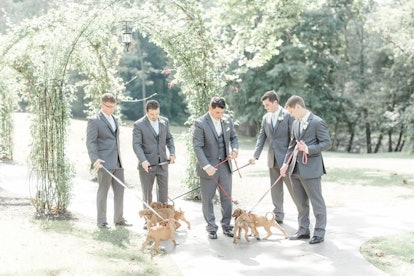 Bridal Party Held Rescue Pups