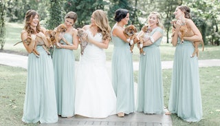Bridal Party Held Rescue Pups