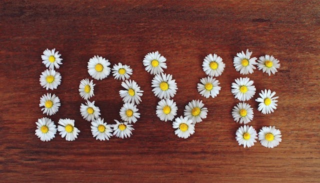 Love Is A Verb