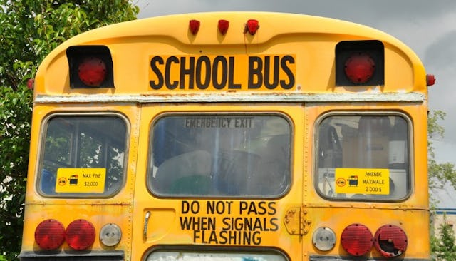 School Bus Driver