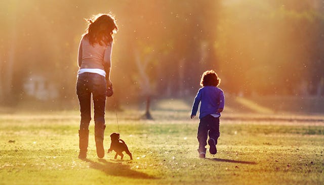 pet owners