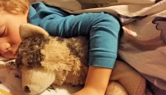 Alice Christopherson's son sleeping in his bed while hugging his stuffed animal during their first s...