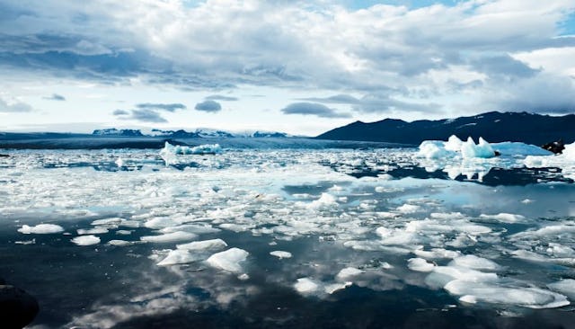 environment