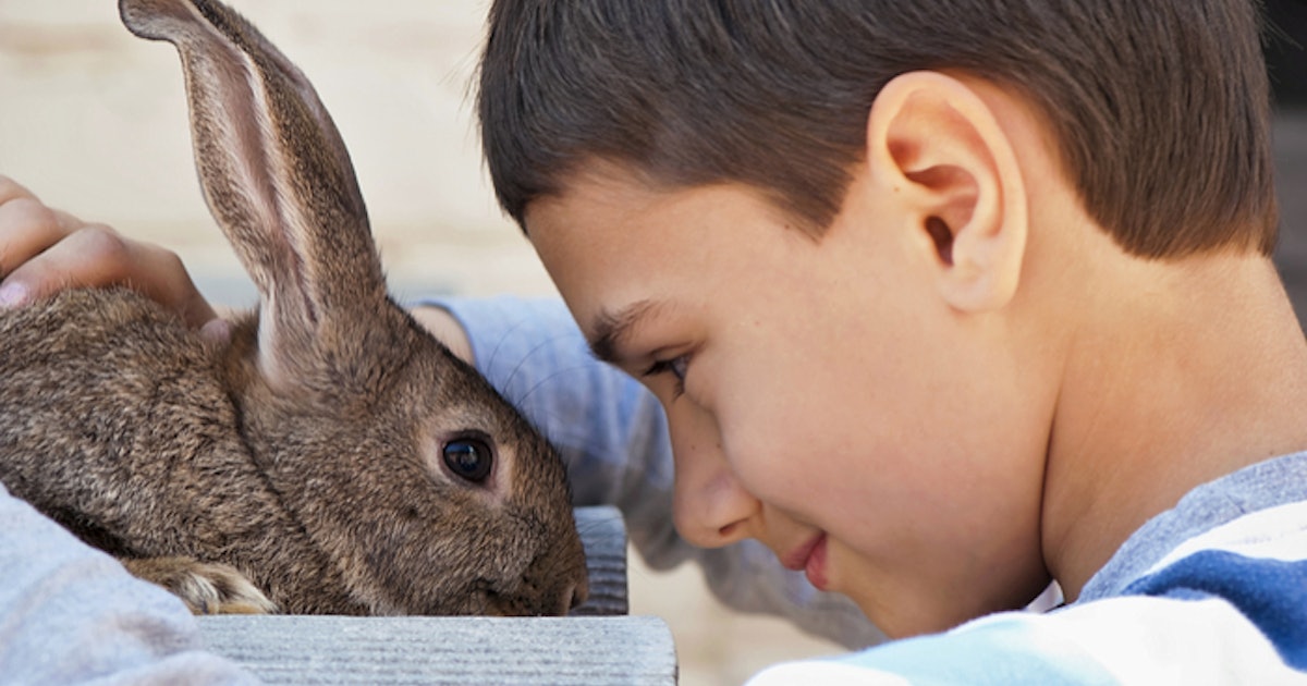 How To Teach Our Kids To Be Kind To Animals
