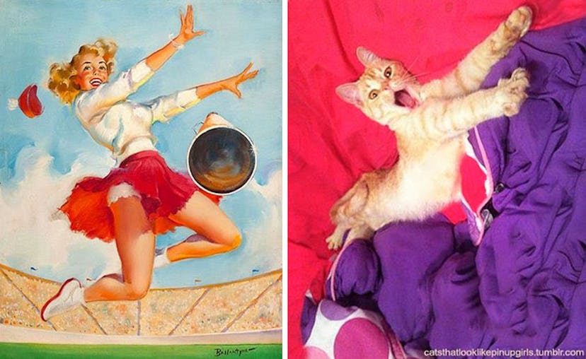 Image via Cats That Look Like Pin-Up Girls.