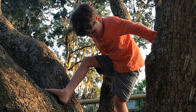 A child in an orange shirt and brown shorts climbing and playing on a tree