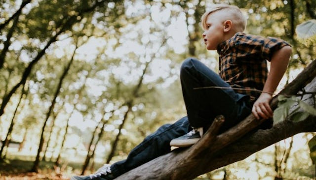 A blonde boy climbing up a tree.