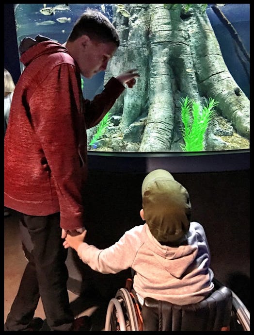 An older boy showing a fish in an aquarium to a younger boy in a wheelchair
