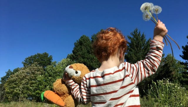 A red haired boy playing with his teddy and a dandelion