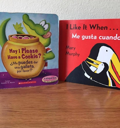 Bilingual picture books 