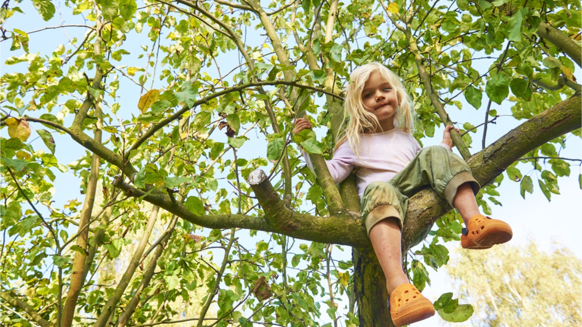 Parents – Stop Worrying and Let Your Children Climb Trees! – Rain