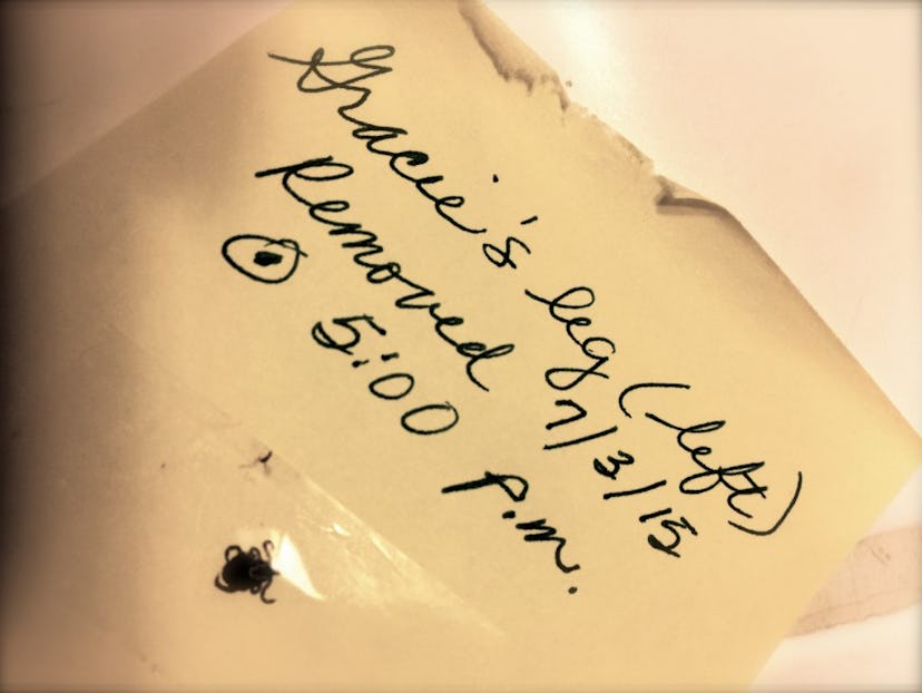 A tick taped on a post-it note with the time and date of removal written on it