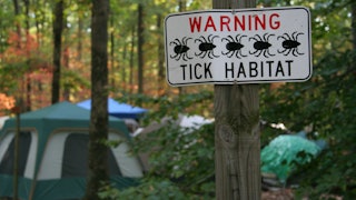 A 'Warning Tick Habitat' sign on a tree in a forest