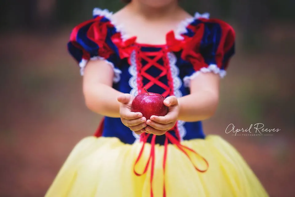 You Can Rent Disney Princess Dresses For Your Kids, No Pixie Dust Required