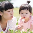 A mother holding a dandelion puff for her toddler daughter to blow in a field
