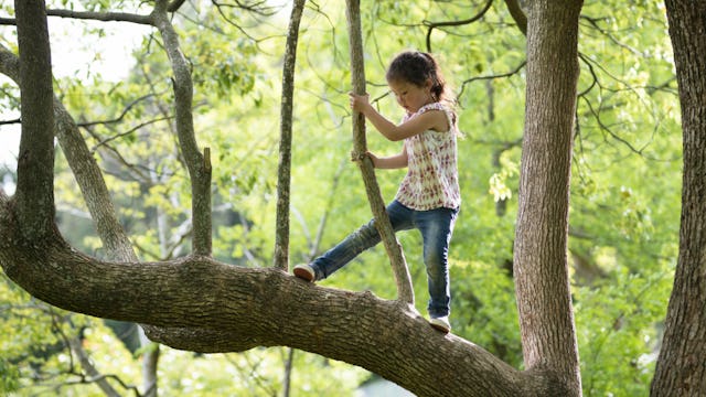 A girl walking on a tree branch 