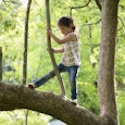 A girl walking on a tree branch who likes to take risks while playing