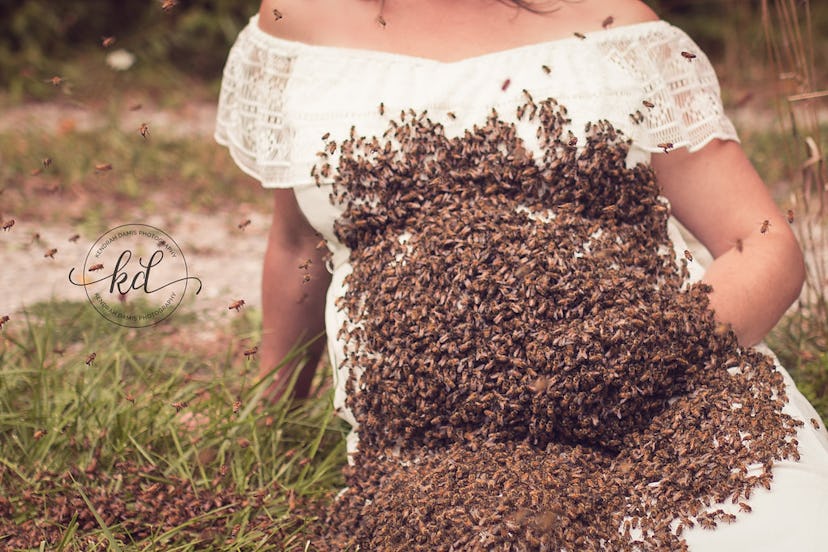 Bees swarming on a pregnant woman's belly for a unique maternity shoot while she is sitting on the g...
