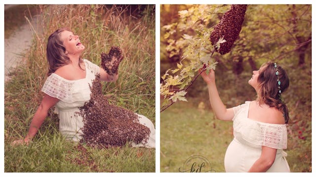 A two-part collage of 20,000 bees swarming around a pregnant woman's belly and her looking at a tree...
