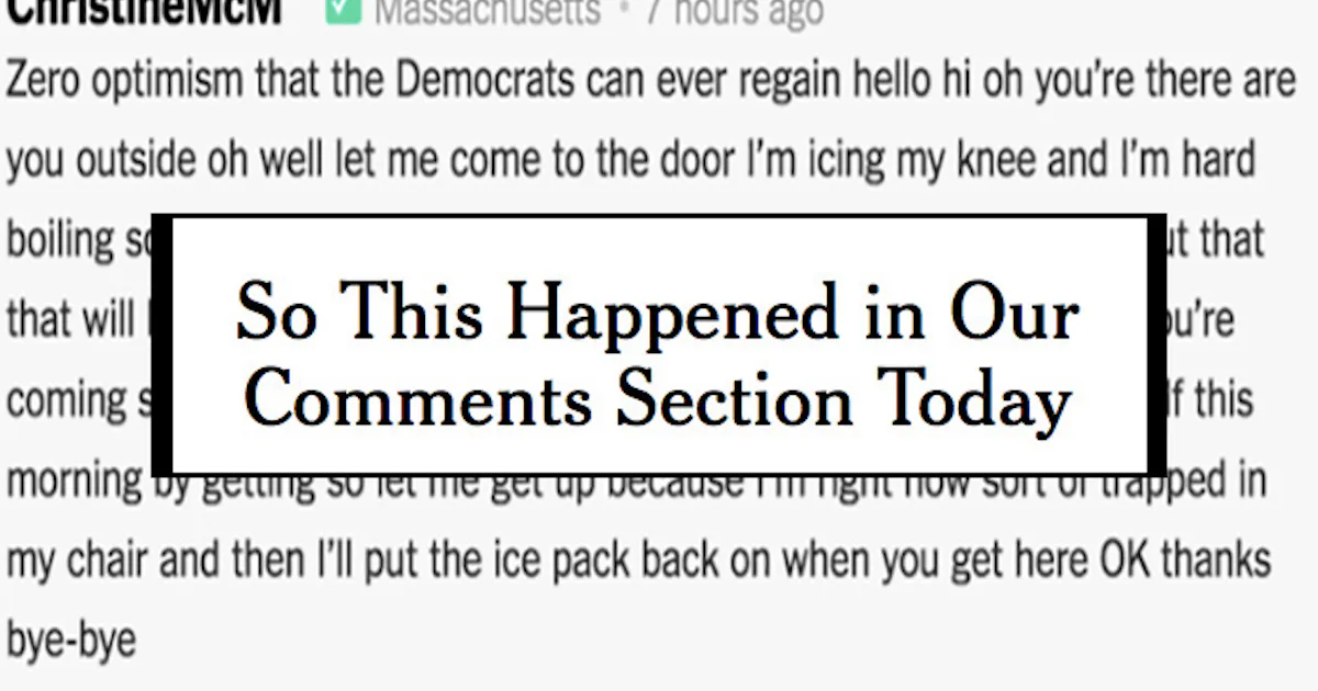 The Times Comment. Example ‘Best Comment, Ever’: Hilarious New York Times Comment Goes Wildly Viral