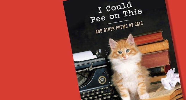 best white elephant gifts