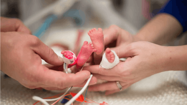 Parents holding their premature-born twin's feet