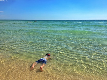 A kid snorkeling in the shallow end at Panama City Beach