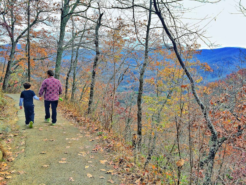A father and a son hiking at Great Smoky Mountains National Park.
