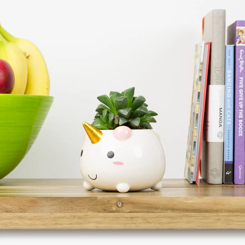 You Need This Magical Unicorn Humidifier That Glows In The Dark