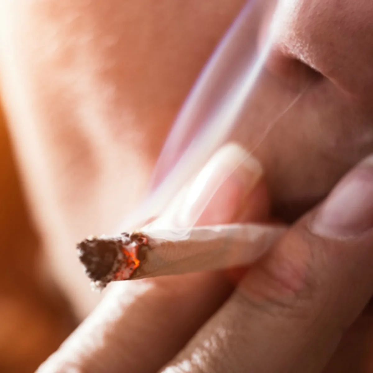 dog swallowed cigarette bud My Dog Ate a Cigarette Butt: Should I Be Worried? Our Vet Answers – Dogster dog swallowed cigarette bud My Dog Ate a Cigarette Butt: Should I Be Worried? Our Vet Answers – Dogster