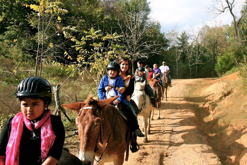 A group of visitors seeing Smoky Mountains on horseback