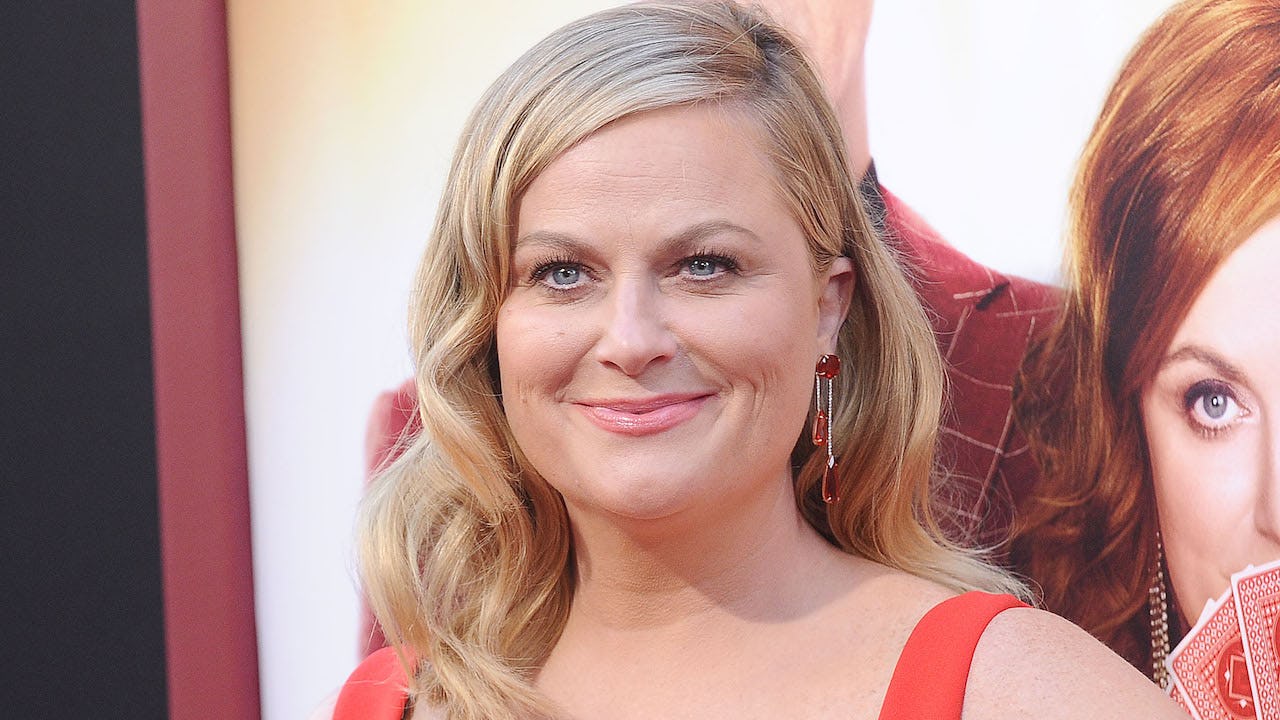 Amy Poehler Fake